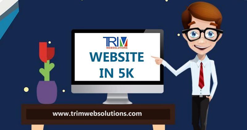 website design under 5k in Delhi
