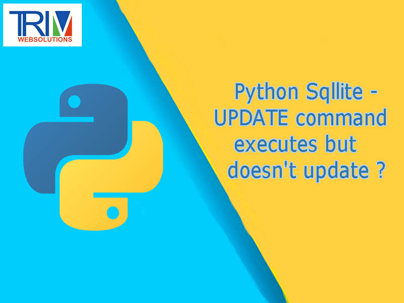 python-sqllite-update-command-executes-but-doesnt-update-in-python