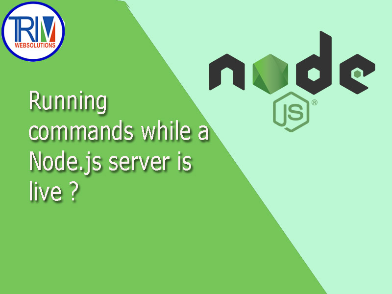 Running commands while a Node.js server is live ?