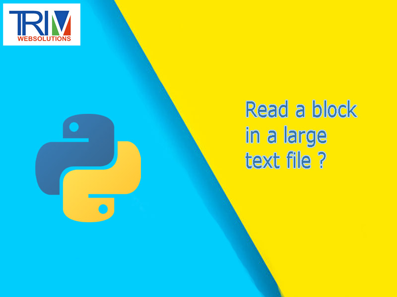 Read a block in a large text file in python ?