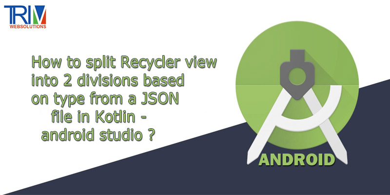 How to split Recycler view into 2 divisions based on type from a JSON file in Kotlin - in android studio ?