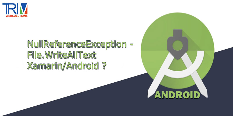NullReferenceException - File.WriteAllText Xamarin/Android ?