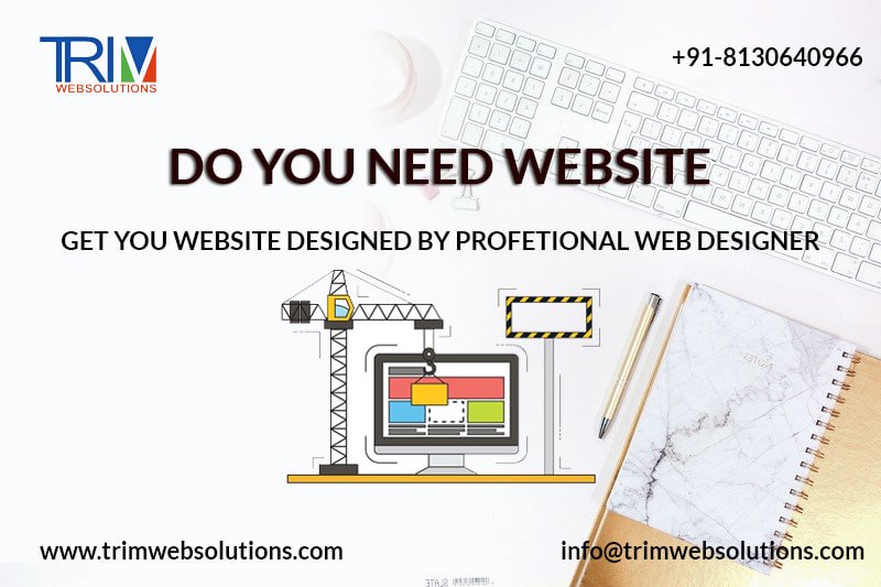 Best Website Designing Company in Delhi India-Trimwebsolutions