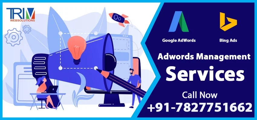 Run Google Ads with Champion  of Adwords Management Company Pittsburgh- Trimwebsolutions