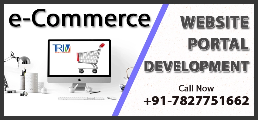 Ecommerce Website Development Cedar Rapids, US| Ecommerce Web Designing